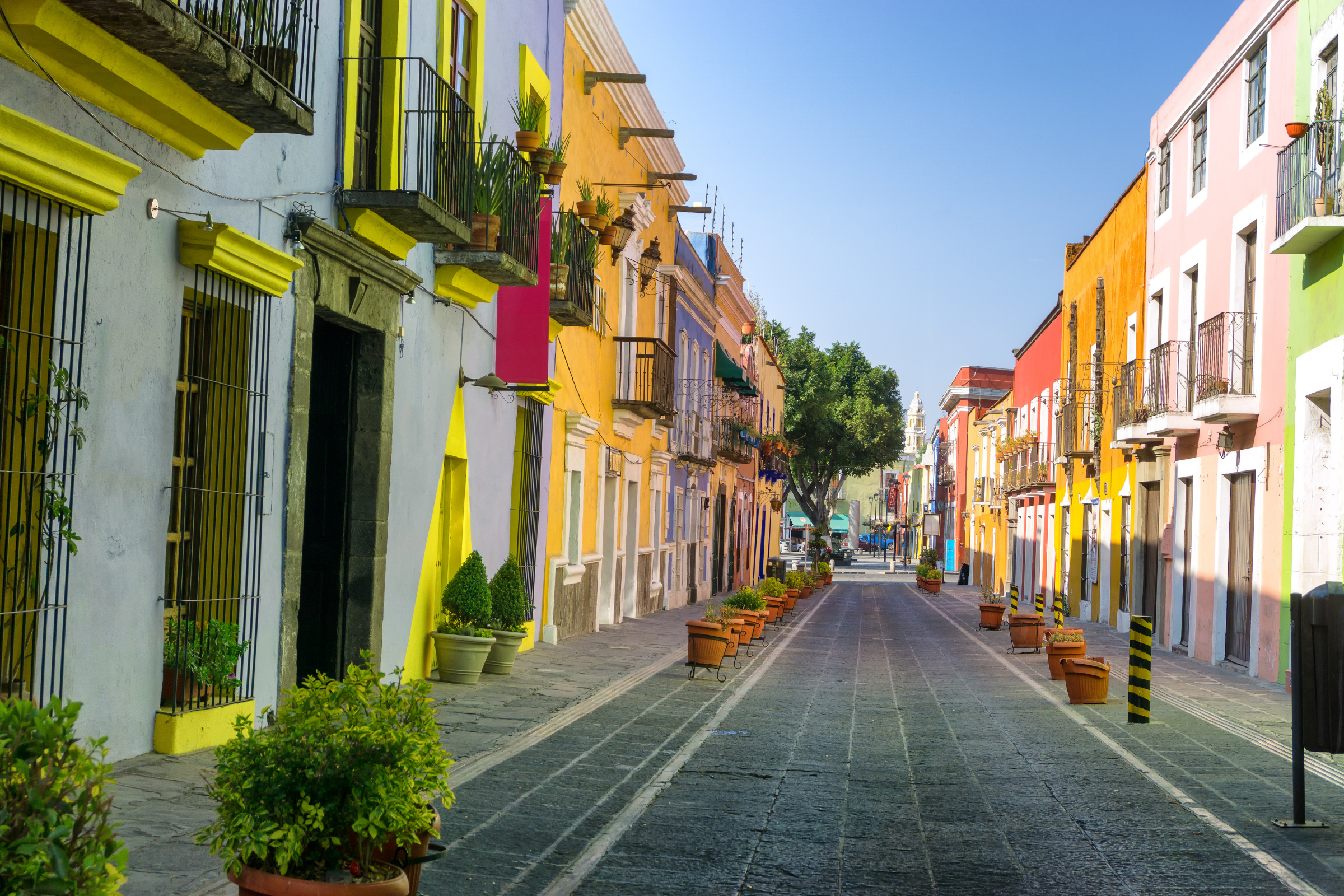 puebla (4).webp